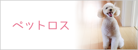 ペットロス
